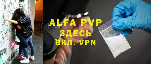 стаф Алзамай
