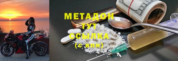 стаф Алзамай