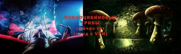 стаф Алзамай