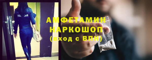стаф Алзамай