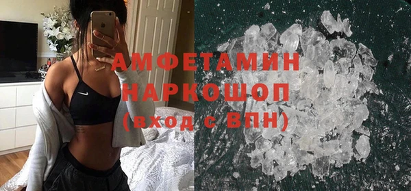стаф Алзамай