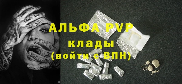 стаф Алзамай