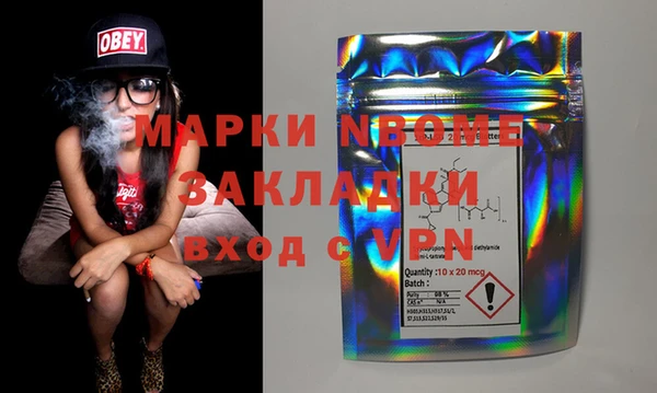 стаф Алзамай