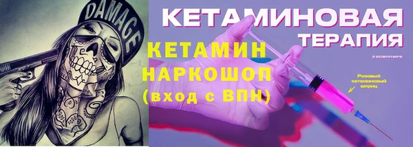 стаф Алзамай