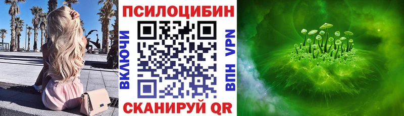 Псилоцибиновые грибы Psilocybe  Новозыбков 